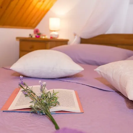 Priska1700 * Сплит